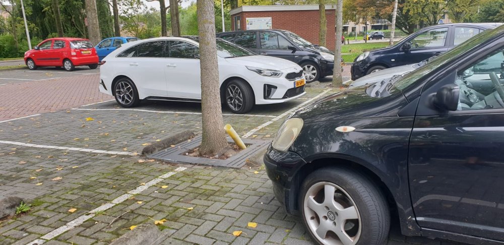 WhatsApp Image 2019-09-25 at 13.17.06.jpeg