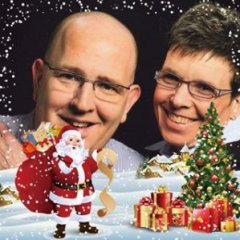 ceed dynamic plus line