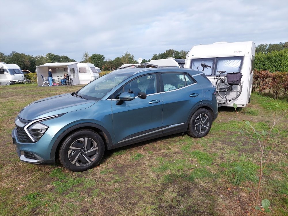 kia sportage + kip.jpg