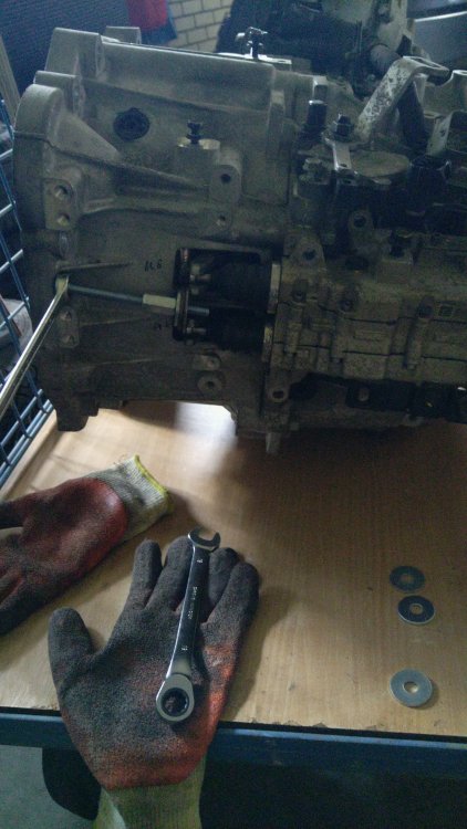 IMG-20251002-WA0004.jpeg